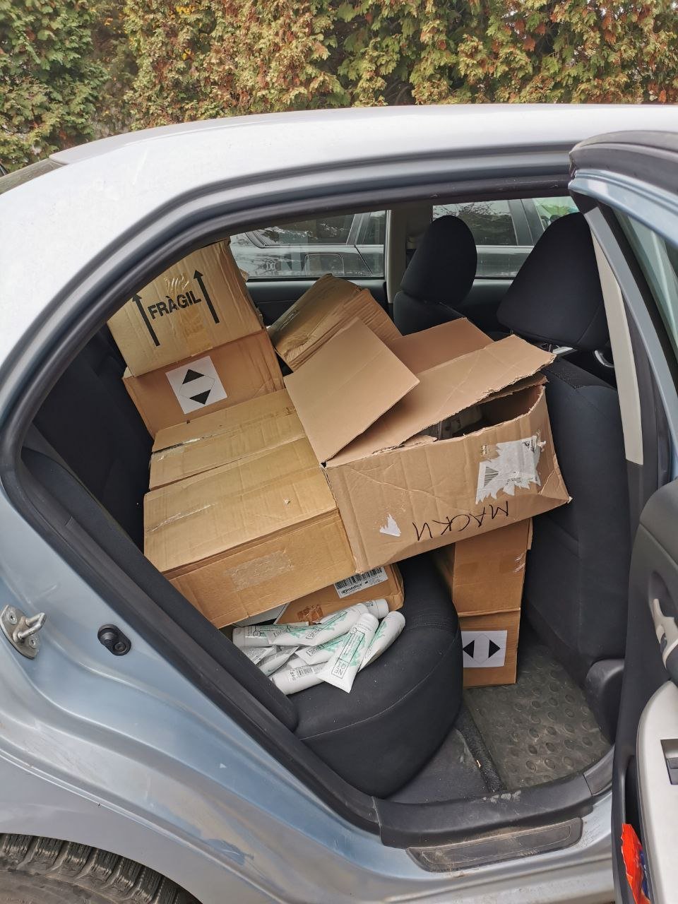 Photo 5231235751411306033 Y