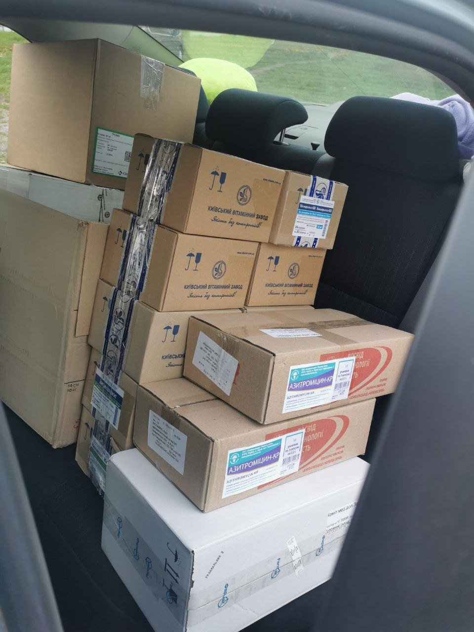 Photo 5231235751411306045 Y