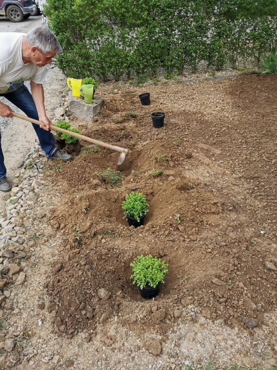 Photo 5379939055480983728 Y (1)